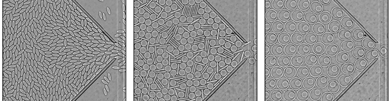 Hopper flows of dense suspensions: a 2D microfluidic model system
