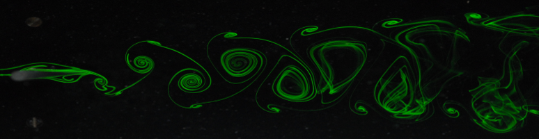 <multi>[fr] Dynamique tourbillonnaire dans le sillage d'une aile battante [en] Vortex dynamics in the wake of a flapping foil </multi>