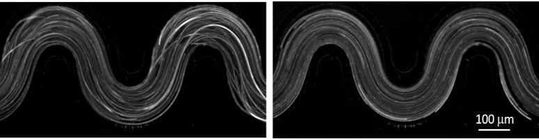 <multi>[fr] Instabilité viscoélastique d'un écoulement dans un micro-canal incurvé [en] Viscoelastic flow instability in a curved microchannel </multi>