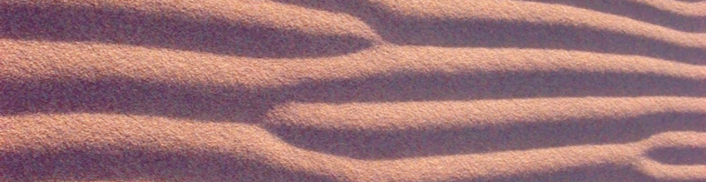 <multi>[fr] Rides éoliennes, Sahara Atlantique [en] Aeolian ripples, Atlantic Sahara </multi>